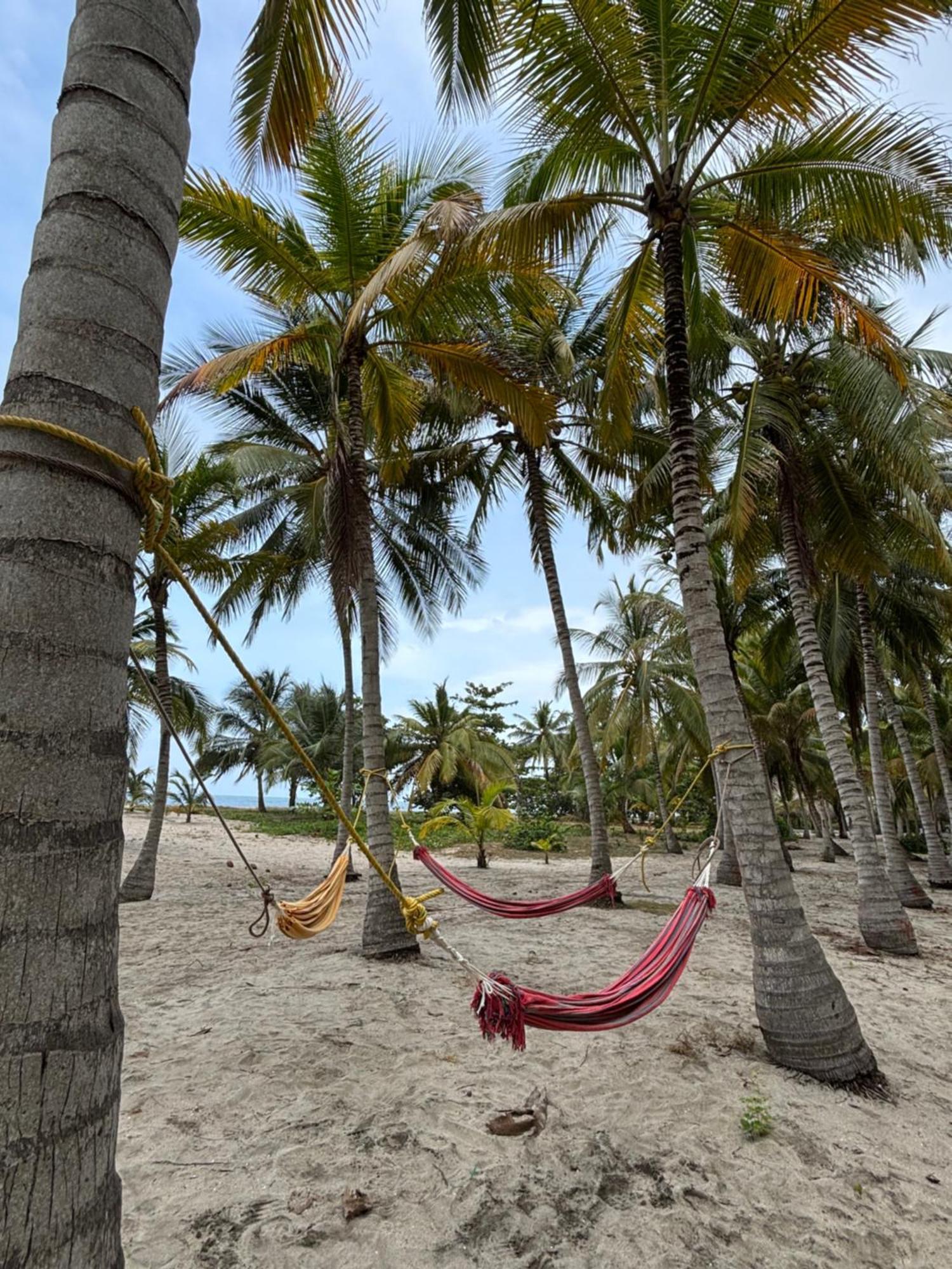 Hotel Playa Bonita Tayrona Buritaca Εξωτερικό φωτογραφία